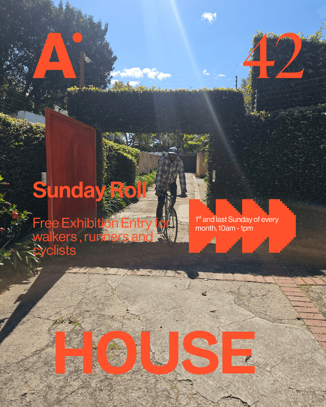 Sunday Roll