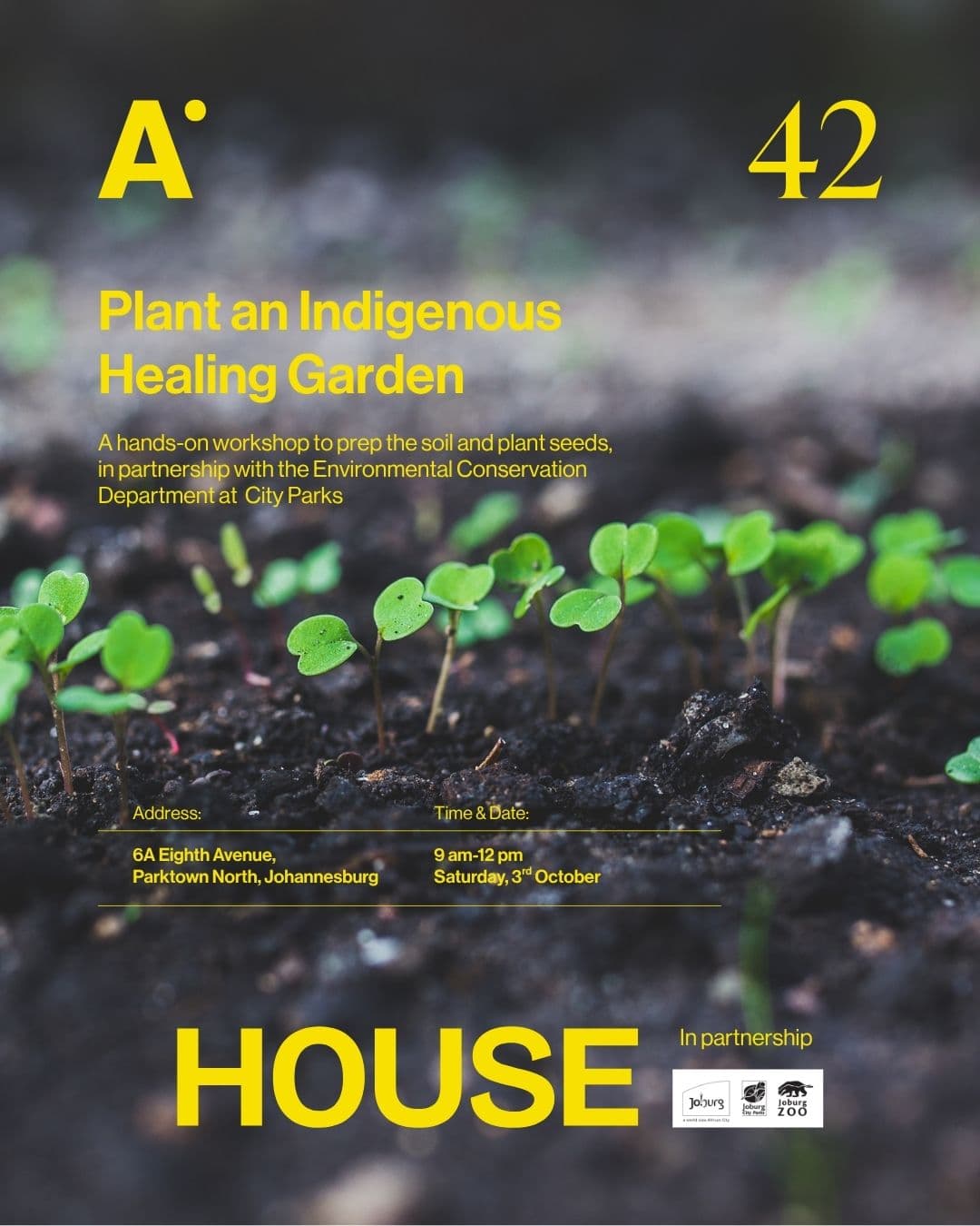 Plant an Indigenous Healing Garden